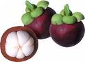 Mangosteen.jpg